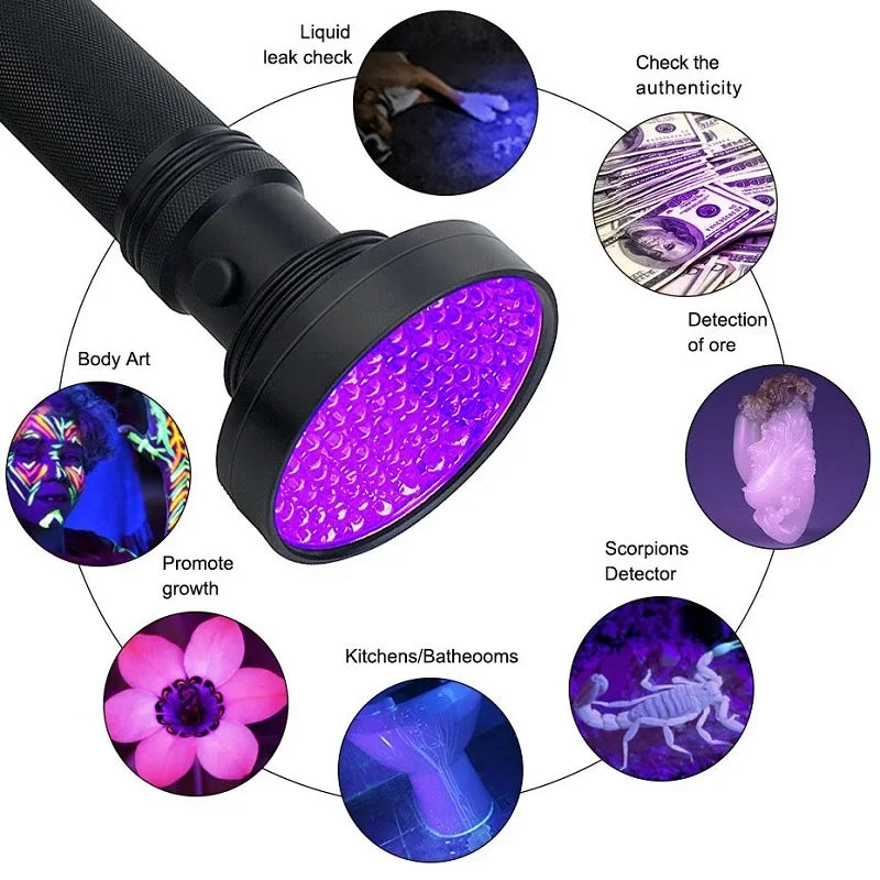 UV Flashlight for Bed Bug Detection and Stain