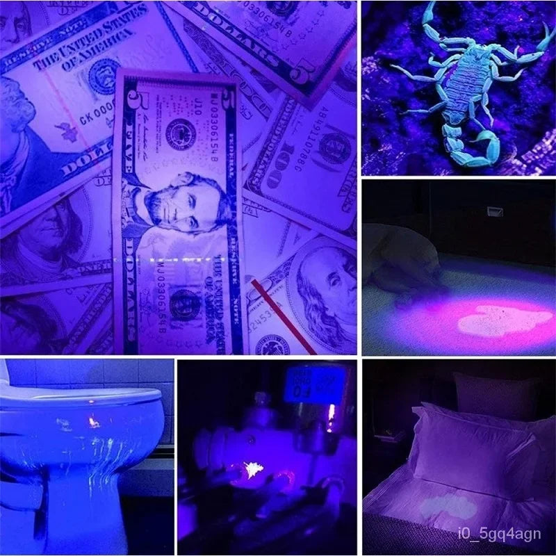 UV Flashlight for Bed Bug Detection and Stain